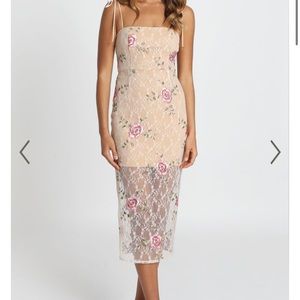 Showpo lace cocktail dress